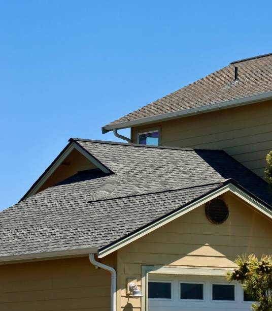 Professional Roofing Services in Eastwood, LA